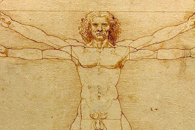 L'homme de vitruve par Léonard de Vinci